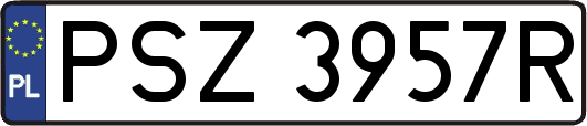 PSZ3957R