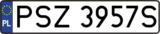 PSZ3957S