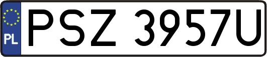 PSZ3957U