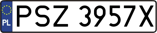 PSZ3957X