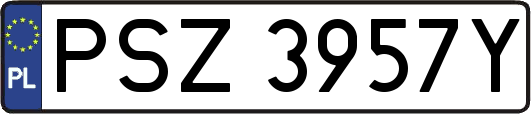 PSZ3957Y
