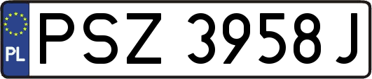 PSZ3958J