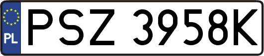 PSZ3958K