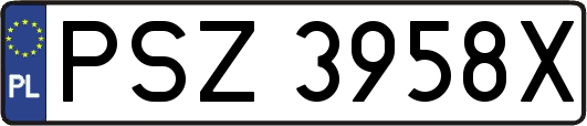 PSZ3958X
