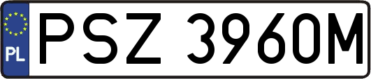 PSZ3960M