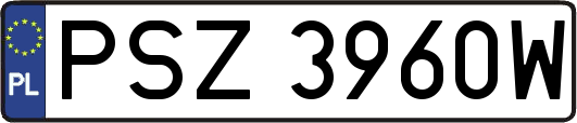 PSZ3960W