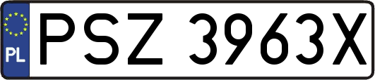 PSZ3963X