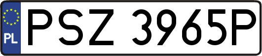 PSZ3965P