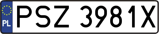 PSZ3981X