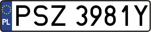 PSZ3981Y