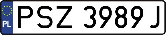 PSZ3989J