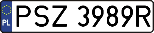 PSZ3989R