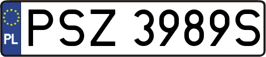 PSZ3989S