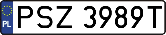 PSZ3989T