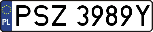 PSZ3989Y