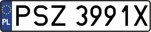 PSZ3991X