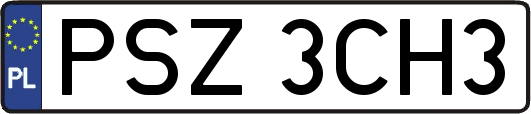 PSZ3CH3