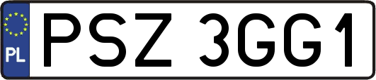 PSZ3GG1