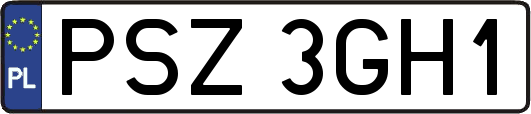 PSZ3GH1