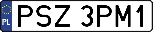 PSZ3PM1
