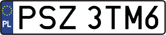 PSZ3TM6