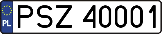 PSZ40001