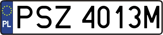 PSZ4013M