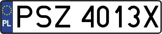 PSZ4013X