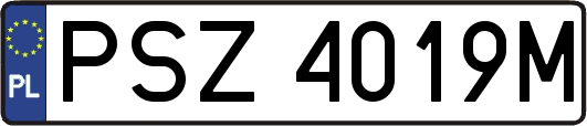 PSZ4019M