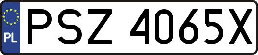 PSZ4065X