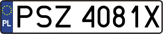 PSZ4081X