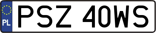 PSZ40WS