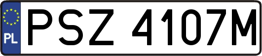 PSZ4107M