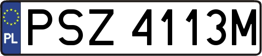 PSZ4113M