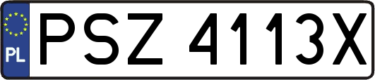 PSZ4113X