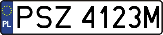 PSZ4123M
