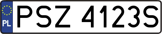 PSZ4123S