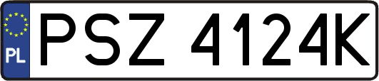 PSZ4124K