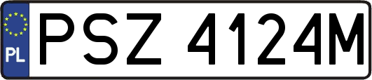 PSZ4124M