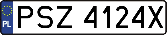 PSZ4124X