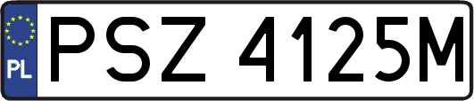 PSZ4125M