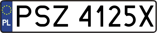 PSZ4125X