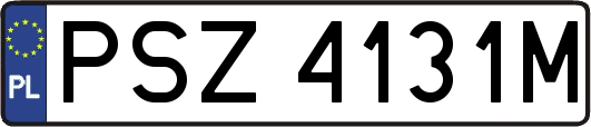 PSZ4131M