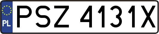 PSZ4131X