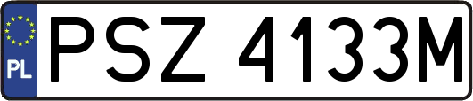 PSZ4133M