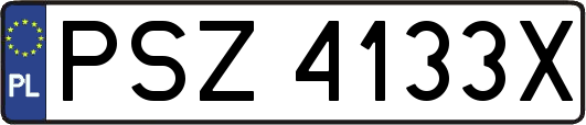 PSZ4133X