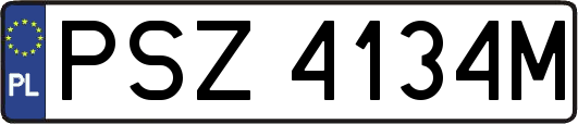 PSZ4134M
