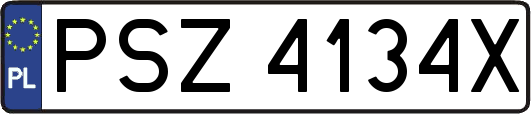 PSZ4134X