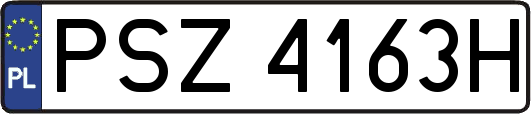 PSZ4163H
