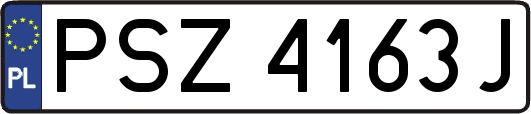 PSZ4163J